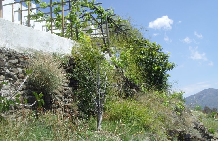 Natuurhuisje in Torre Cuevas