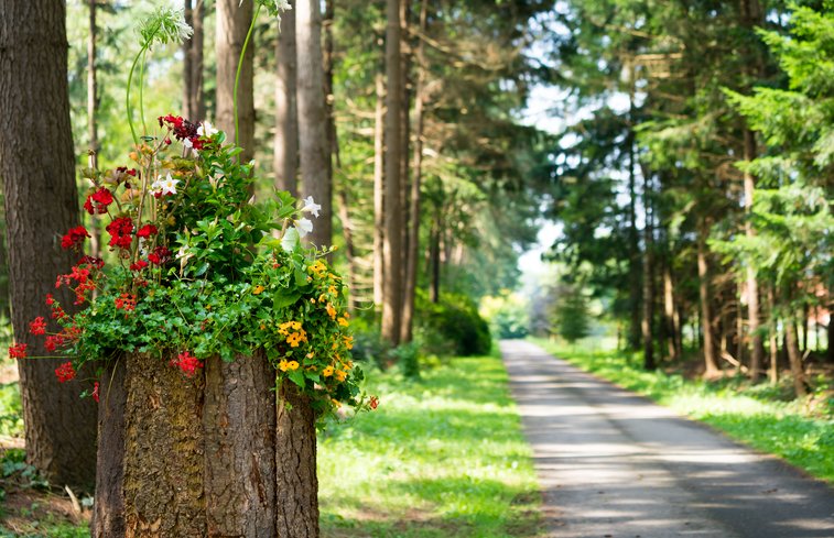 Natuurhuisje in Hengevelde