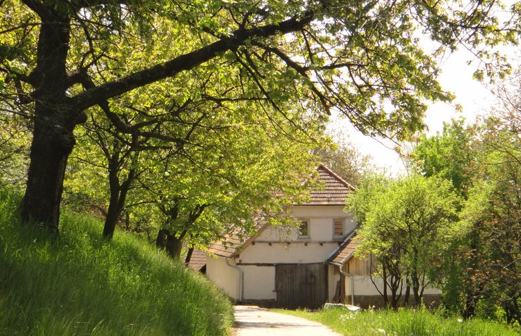 Natuurhuisje in Brestovec