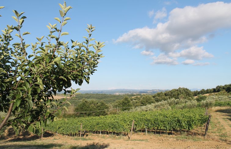 Natuurhuisje in Palazzone, San Casciano dei Bagni