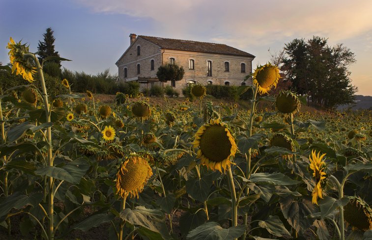 Natuurhuisje in Montecarotto