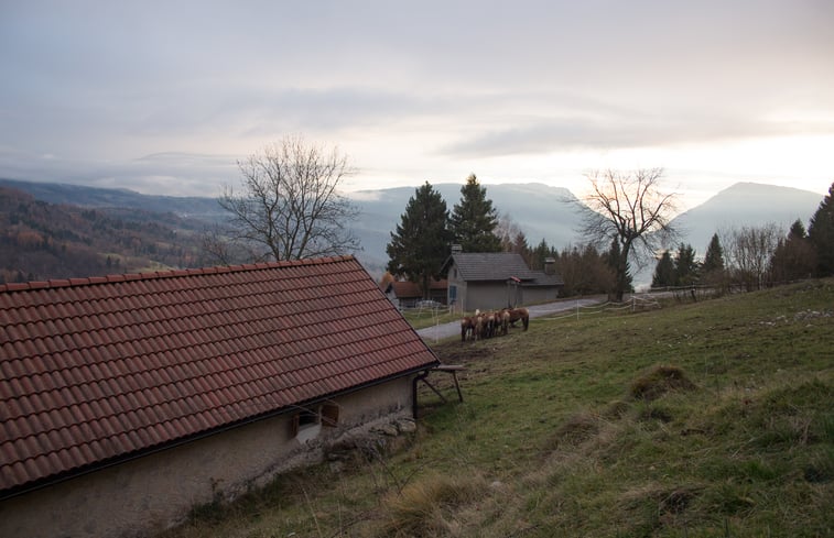 Natuurhuisje in funes