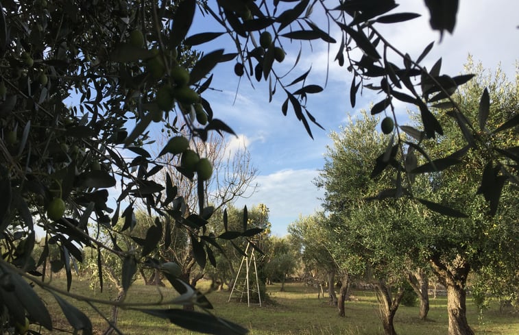 Natuurhuisje in Ostuni