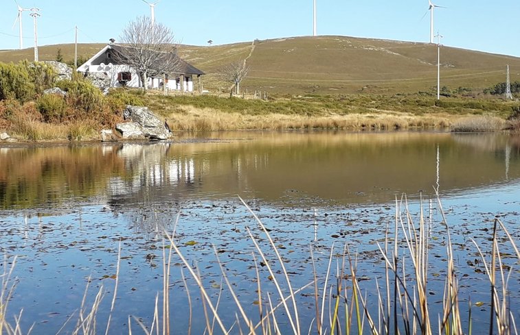 Natuurhuisje in Coelheira