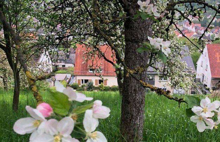 Natuurhuisje in Dalhausen