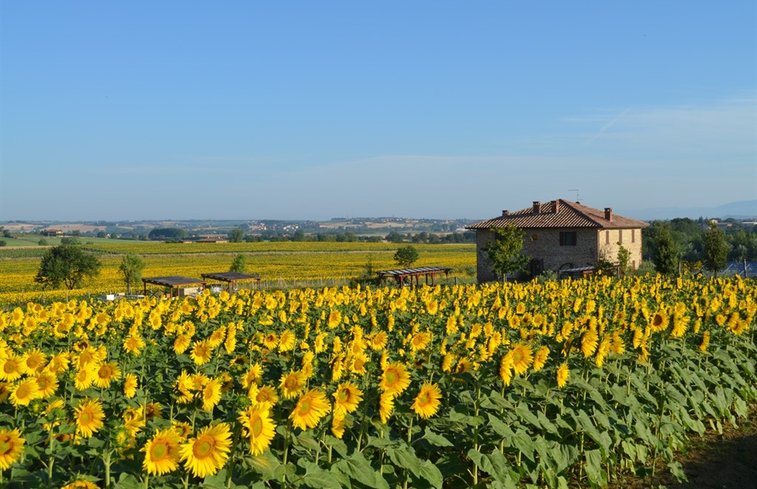 Natuurhuisje in Panicale