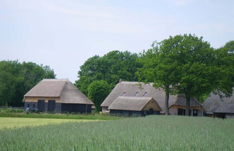 Natuurhuisje in Dwingeloo