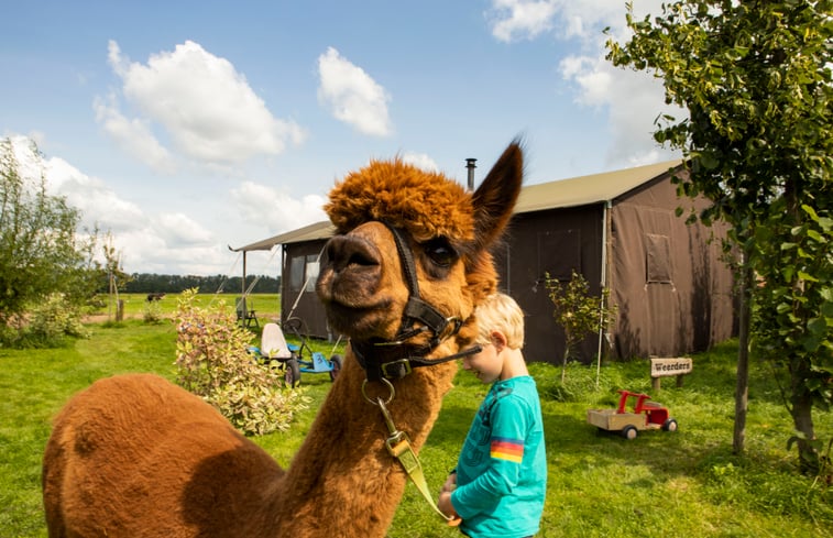 Natuurhuisje in Dreumel