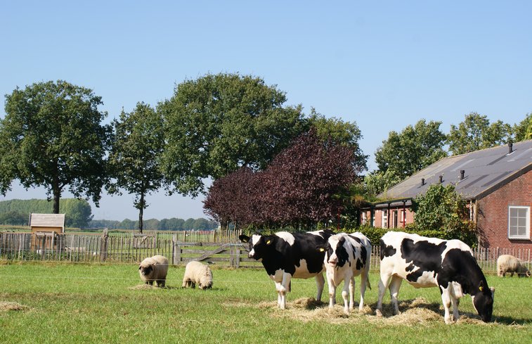 Natuurhuisje in Vlierden